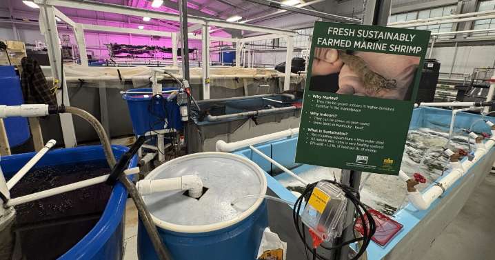 With almost 80% of seafood imported, can KSU turn the tide?