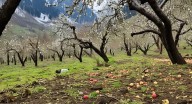 Farmers bear brunt of harsh season