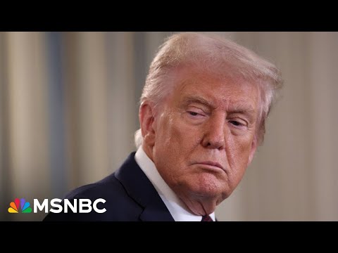‘Government is serving one man’s ego’: Analyst slams Trump for cutting funding for blue states