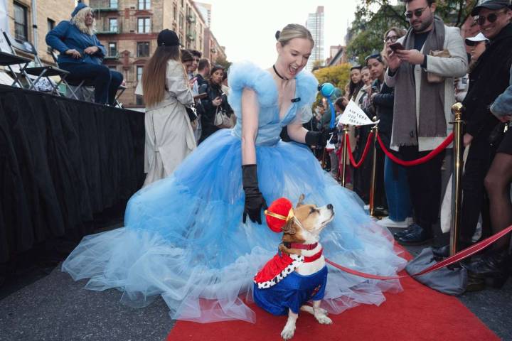 New York City's Tompkins Square Halloween Dog Parade Returning on October 19