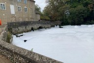Environment Agency investigating after fish die in foam layer on river Thet