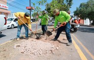 Rehabilita Gobierno de Saltillo banquetas en calzada Emilio Carranza