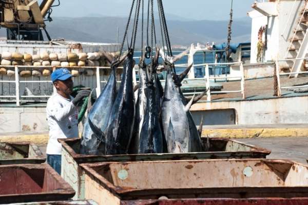 Venezuela y Rusia suscriben un Memorándum de Entendimiento para la cooperación en el ámbito pesquero