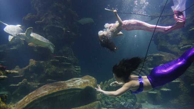 One of Florida's oldest springs is celebrating 78 years