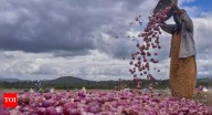 Pune farmer receives only Rs 664 for 7.5 quintals of rain
