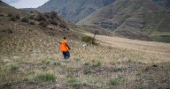 Supreme Court won’t hear Wyoming corner crossing case