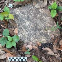 Long-lost ancient Roman artifact reappears in a New Orleans backyard