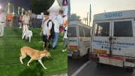 Two foreign coaches bitten by stray dogs at World Para Athletics Championships in Delhi; Kenya team doctor says ‘big worry’