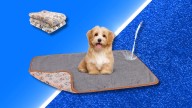 Shop last-day Prime deals to get washable dog blankets for under $10