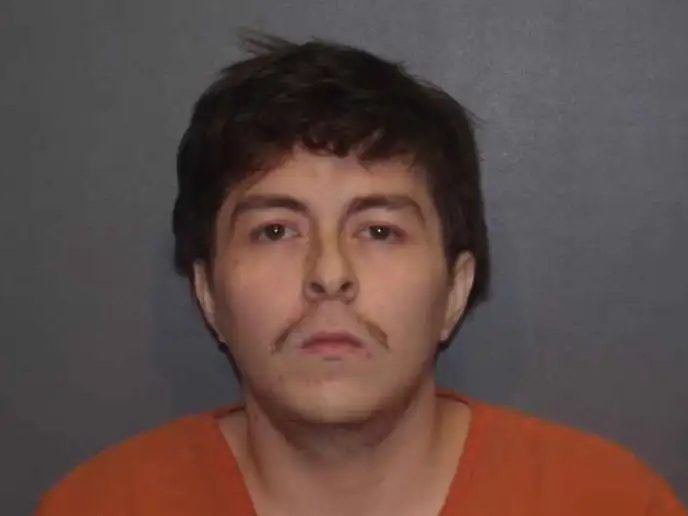 Man accused of forcing driver to dig grave after hitting dog