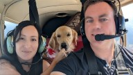 ‘I didn’t know if that many cats would fit’: Victoria volunteer pilot takes flight for Canadian Wings of Rescue