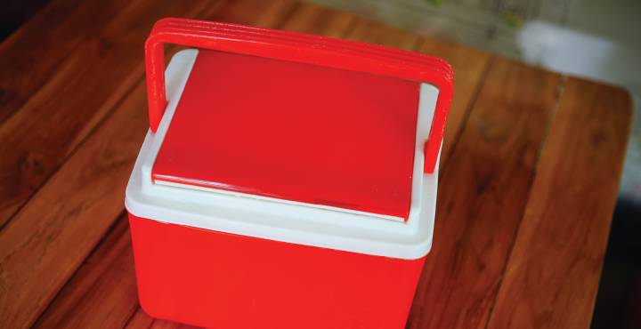 Missouri Woman Allegedly Gave Ex Cooler Containing Human Fetus: ‘Here’s Your Kid’