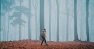 The most haunted woodland in the UK includes Devon gorge with sinister history