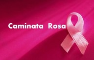 San Juan de los Morros se viste de rosa