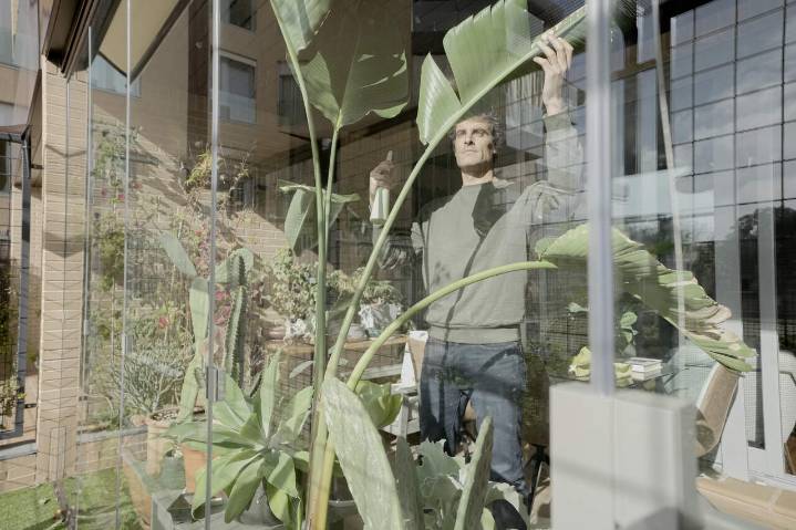 Estas son las mejores plantas para decorar tu terraza en otoño