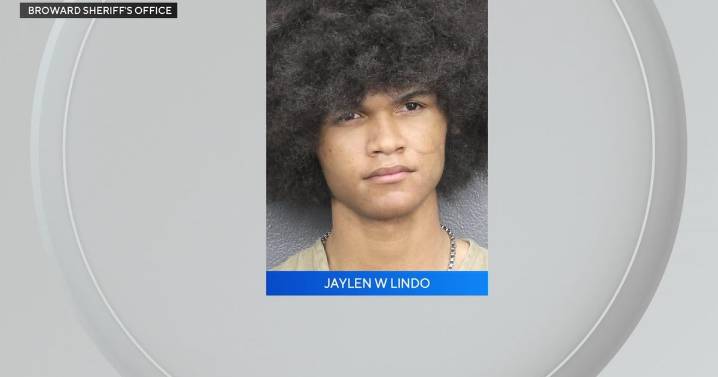 Teen arrested after bringing loaded gun, knife to Broward school, police say