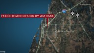 Amtrak train halts in Stevensville after striking pedestrian
