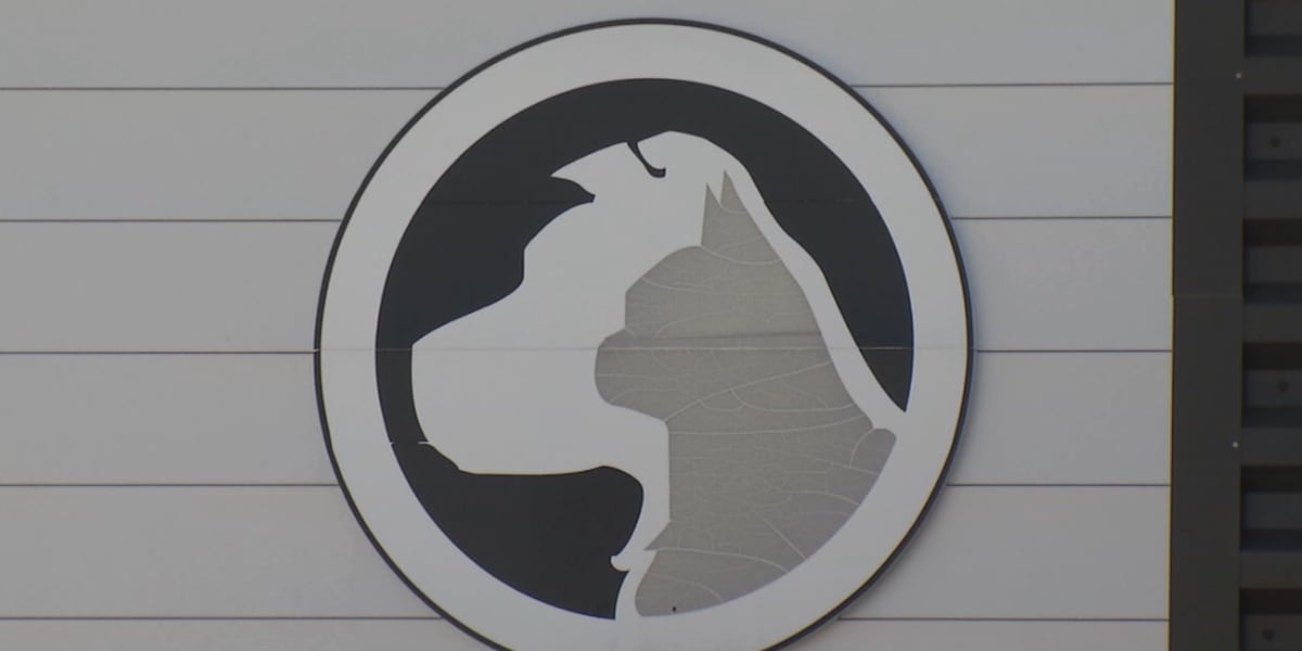 Cedar Rapids seeks community feedback on animal shelter operations