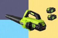 DEWALT leaf blower? No, it’s way cheaper at 46% off