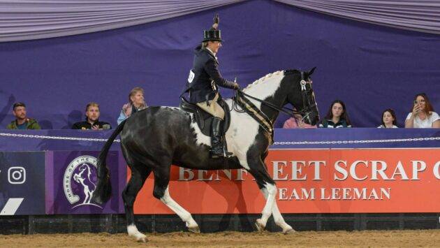 supreme champion horse title at 2025 HOYS Team Ross