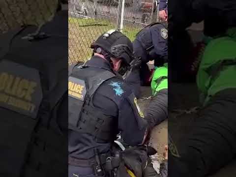 Muddy BRAWL Outside Portland ICE Facility as Police Wrestle Protesters #shorts