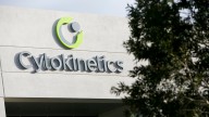 Cytokinetics has been on a tear as the biotech pioneers more drugs to fight heart ailments