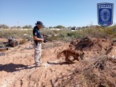 Localizan tres osamentas y restos óseos en excavaciones