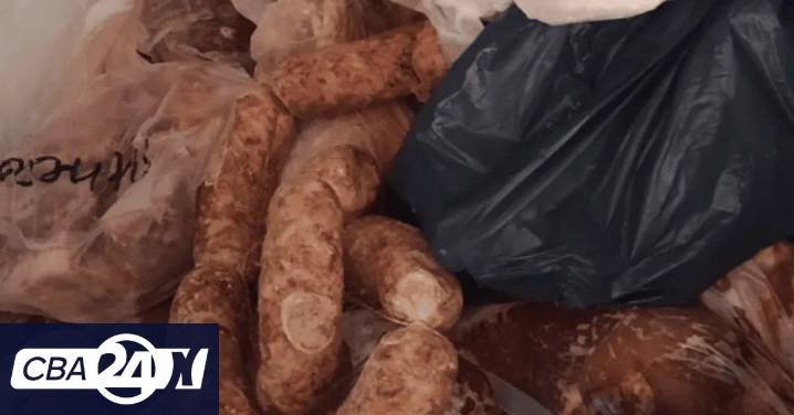 Córdoba: decomisan 100 kilos de carne con triquinosis de un local clandestino