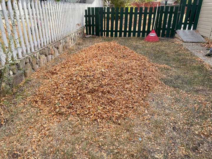 Town of Ponoka begins Fall yard waste pickup