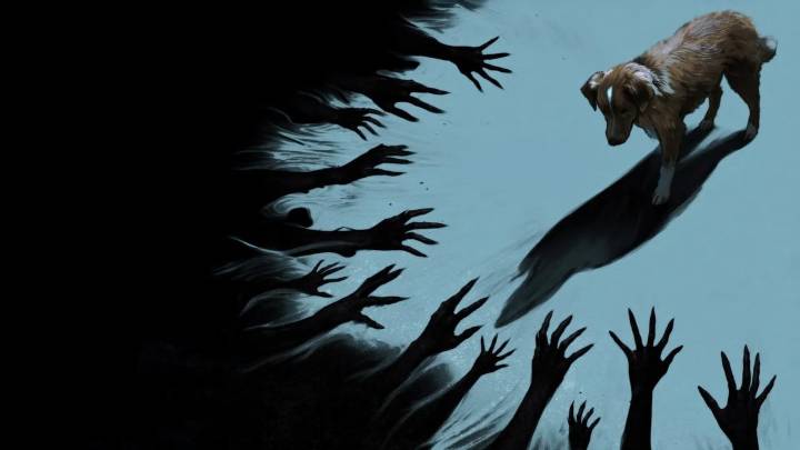 De qué va ‘Good boy’, la película de terror con un perro de protagonista que se ha vuelto viral