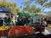 Realizan "Mercadito 300"