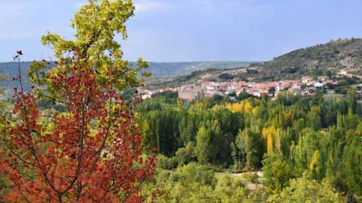 Alertan de que hay un toro perdido desde hace cinco días: huyó tras un festejo taurino en Romancos