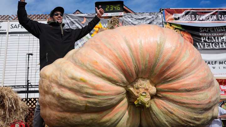 The week’s best photos