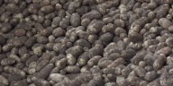 How the Idaho potato helped shape our country
