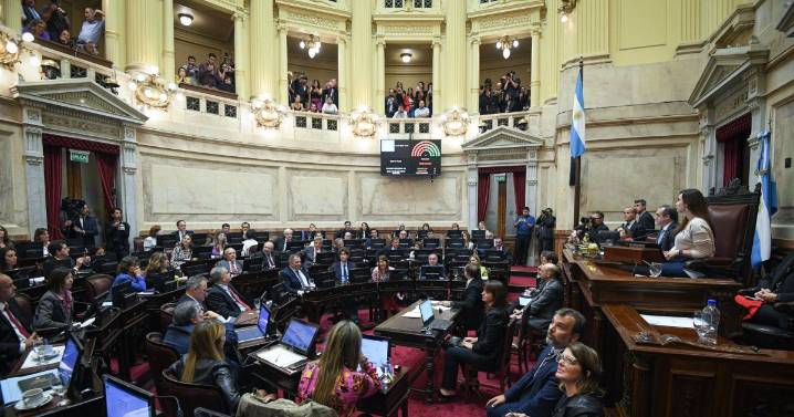 El Senado le torció el brazo a Javier Milei: rechazó los vetos y ratificó las leyes de universidades y Garrahan