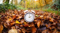 Clocks fall back this weekend: What Daylight Saving Time means for Canadians