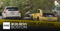 Massive tree falls onto 2 cars in Somerville