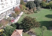 Laredo modifica el proyecto sobre la Alameda y tan solo sacrificará ocho árboles de los 88 previstos