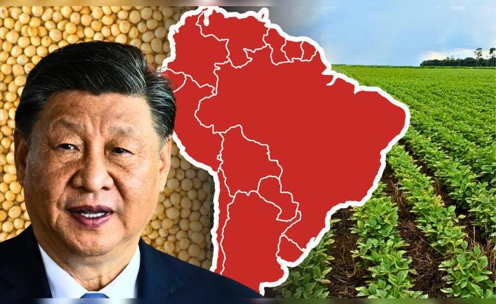 El país de América Latina que supera a EE. UU. como principal exportador de las materias primas más importantes para China