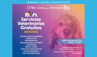 ¡Habitantes de Jesús María, Demos Amor y Cuidado a Nuestros Perritos y Gatitos!