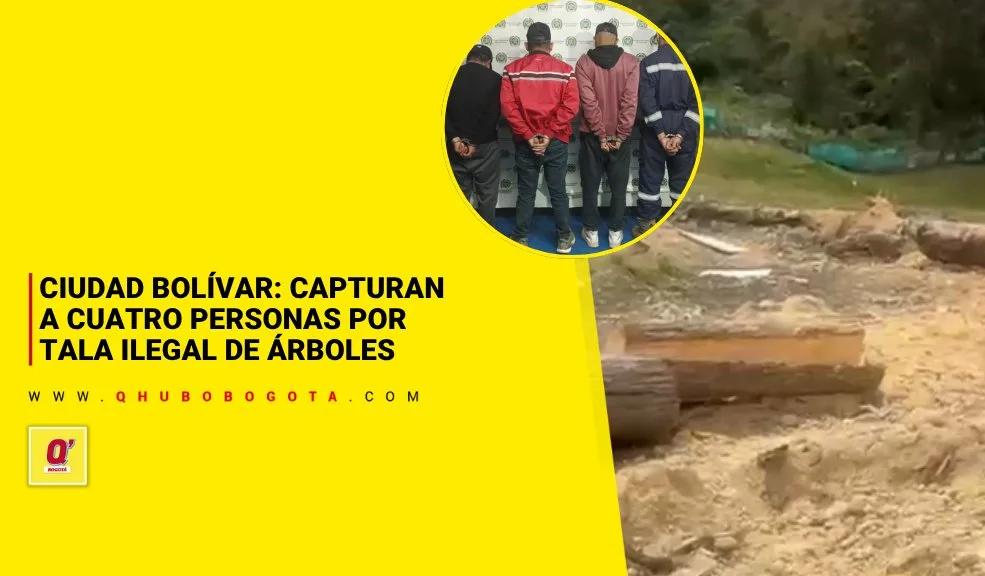 Ciudad Bolívar: Capturan a cuatro personas por tala ilegal de árboles