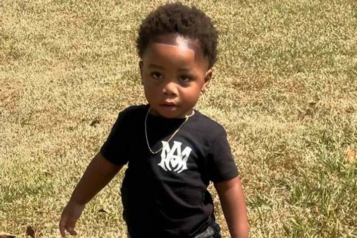 2-Year-Old Boy Killed by Daycare Owner's Dogs After She Left Him Alone