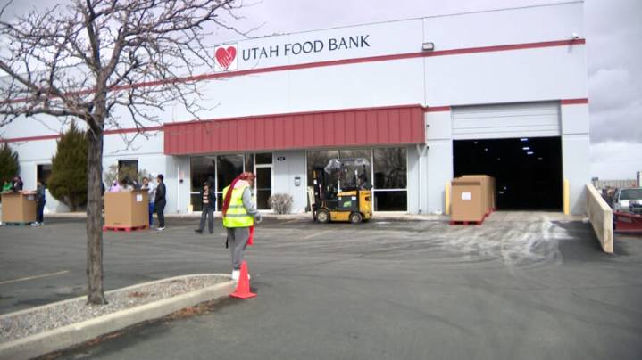 Local businesses host food drives to help those struggling from the government shutdown