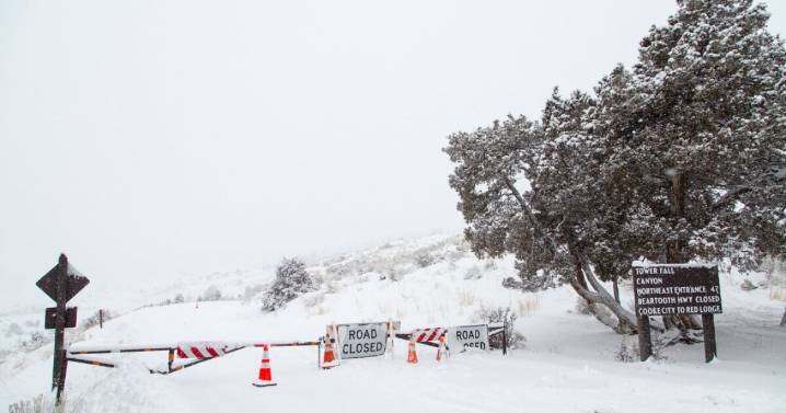 Some Yellowstone National Park roads closed due to hazardous driving conditions