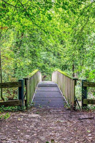What’s Next? Navigating Life Transitions