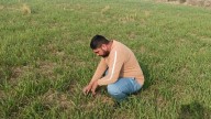 Kaithal Farmer Transforms Lives Through Natural Farming
