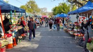 Día de Todos los Santos y Fieles Difuntos: inscriben para vender en los cementerios
