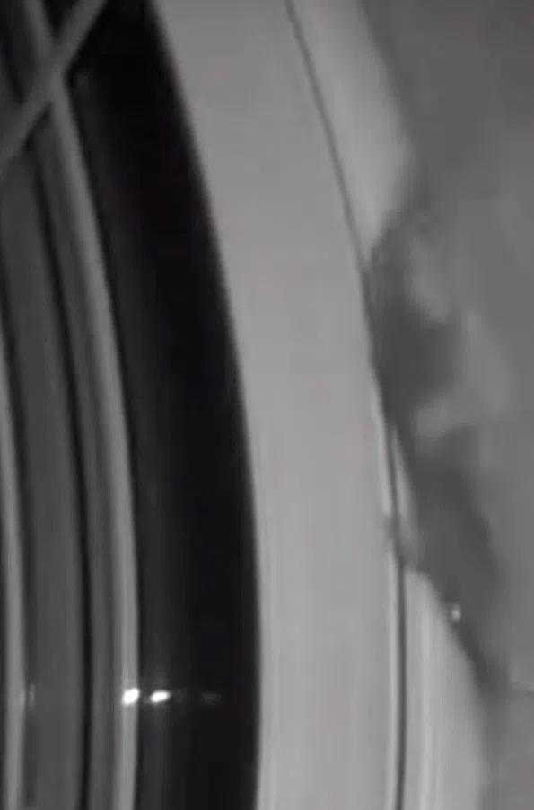 Another Visitor At The Doorbell Camera – And It’s Not Who You’d Expect.