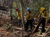 North Shore wildfire now 50% contained, hiking trail remains closed