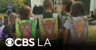 P-22 Day Festival celebrates beloved mountain lion, calls for protection of LA wildlife